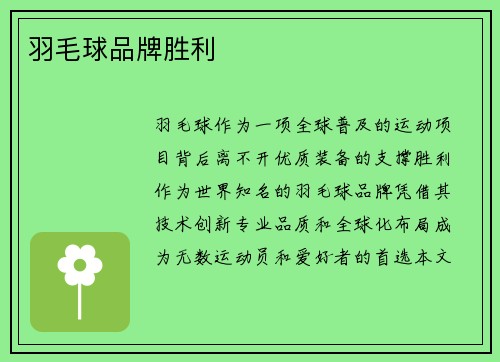 羽毛球品牌胜利